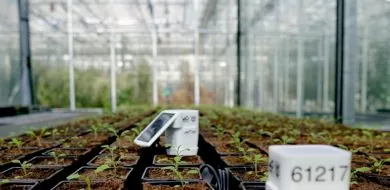 Dankzij IoT kunnen boeren gebruik maken van slimme apparaten om sproeisystemen aan en uit te zetten, monitors om oogst-opbrengsten te meten, sensoren voor bodemvocht.